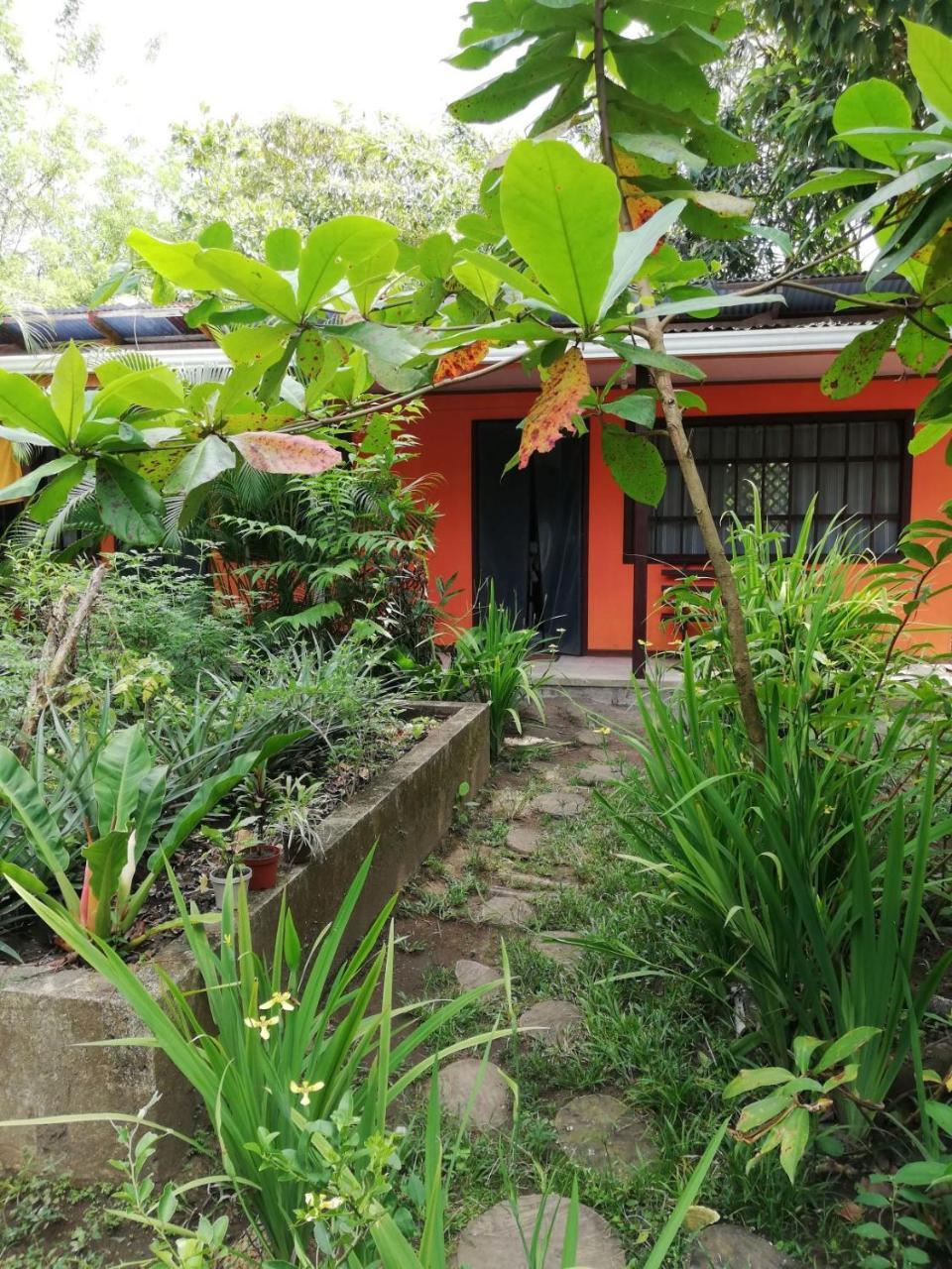 Aracari Garden Hostel Tortuguero Exterior foto