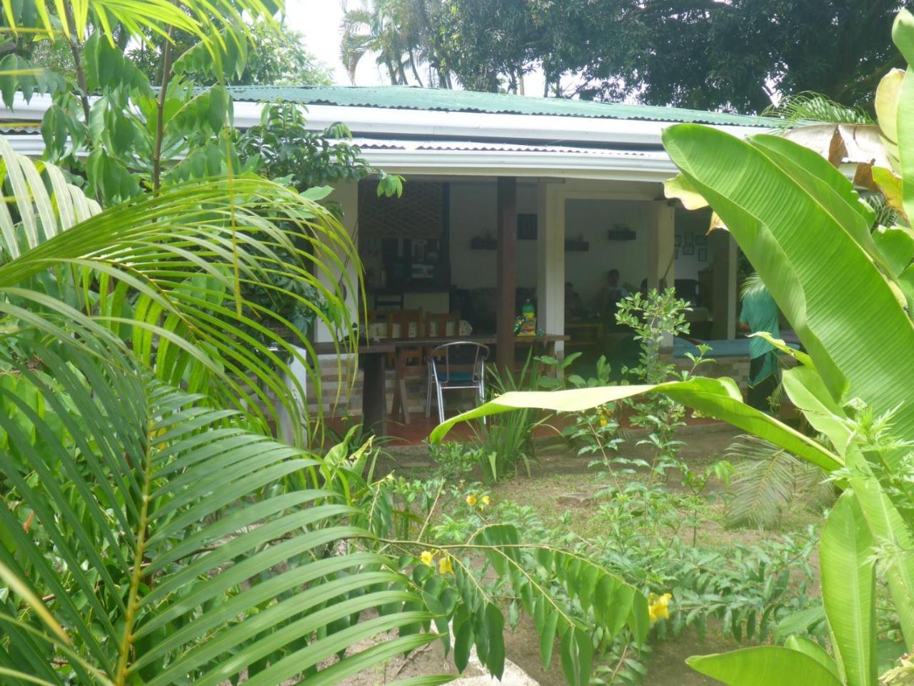 Aracari Garden Hostel Tortuguero Exterior foto