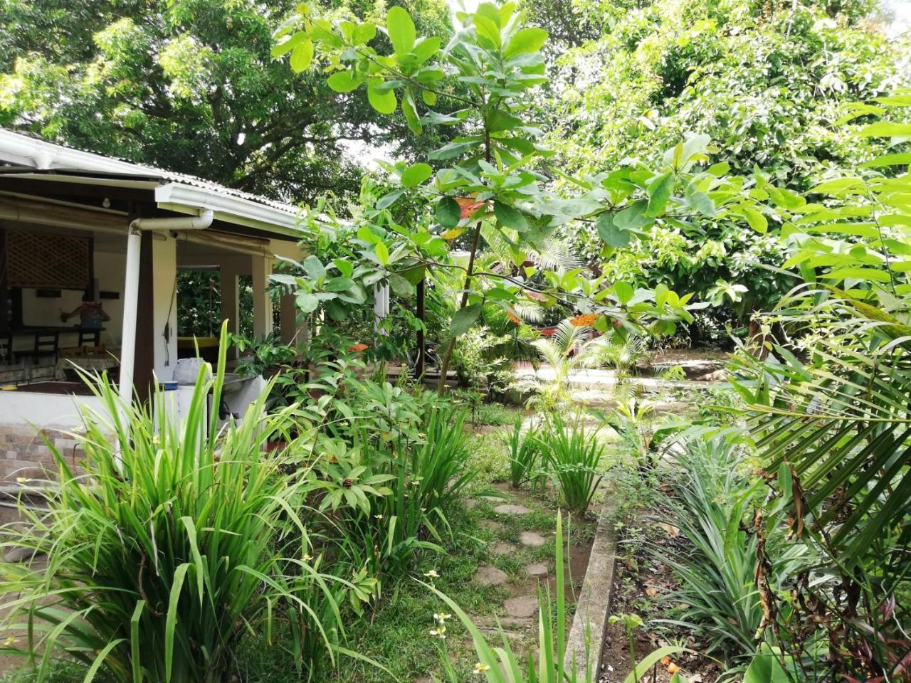 Aracari Garden Hostel Tortuguero Exterior foto