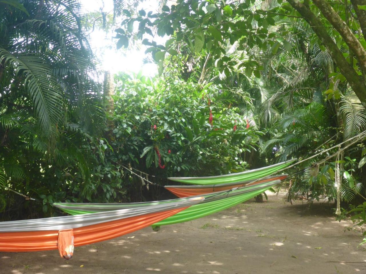 Aracari Garden Hostel Tortuguero Exterior foto